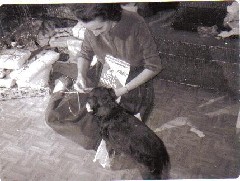 Julia (Judy) Kish Dorrough; Smut ( ), Cocker Spaniel Dog